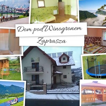 Dom Pod Winogronem Apartment Szczawnica Exterior photo